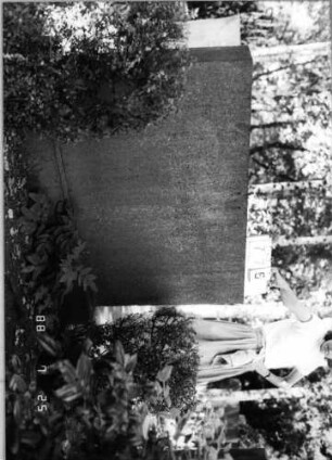 Grabstein 775