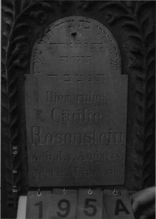 Grabstein 195 (Index: 100093674) Maße HxBxT: 195x62x38 cm Symbolik: Verzierungen: Grabstein 195A