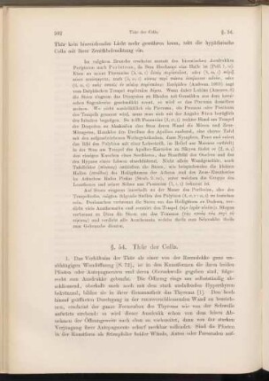 §. 54. Thür der Cella.