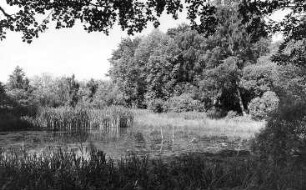 Hirschfelde-Schlegel-Burkersdorf. Teich bei der Kirche, oberhalb der ehem. Schneidemühle
