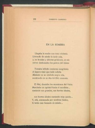 En la sombra