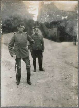 Graf Haeseler auf einem Spaziergang hinter der Front