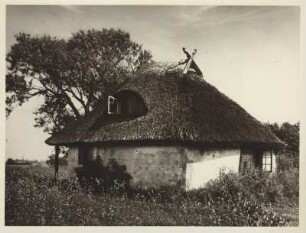 Ostsee. Insel Hiddensee. Reet gedecktes altes Haus