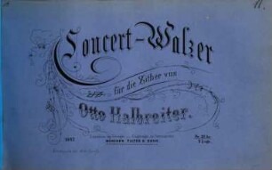 Concert-Walzer für die Zither