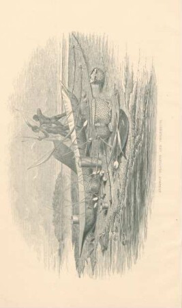 Andaman islanders and implements