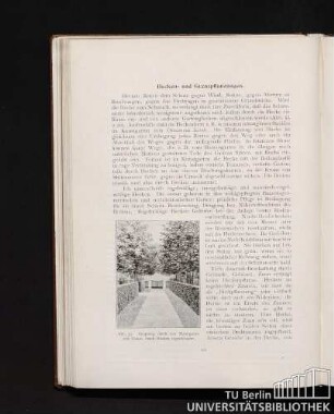 Hecken- und Grenzpflanzungen.