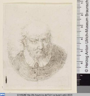 Kopfstudie, Mann mit Glatze, frontal