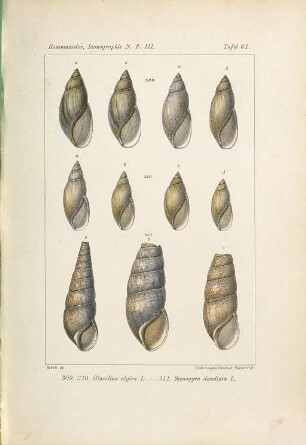 Iconographie der Land- und Süsswasser-Mollusken : mit vorzügl. Berücksichtigung d. europäischen noch nicht abgebildeten Arten. Tafelbd., NF, 3. 1887