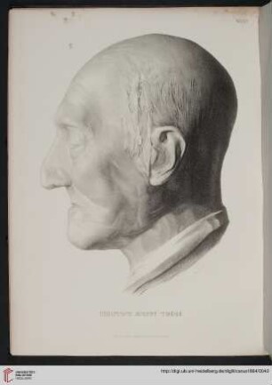 Tafel XIV: Christoph August Tiedge