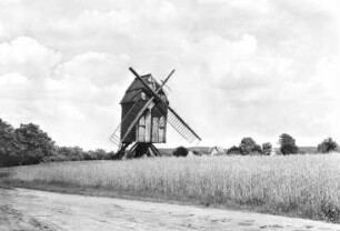 Arendsee (Altmark). Bockmühle, Baujahr 1731, Ansichtskarte