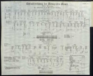 Schlachtordnung der Königlichen Armee.