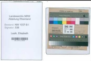 Entnazifizierung Elisabeth Lesik , geb. 01.11.1912 (Kauffrau)