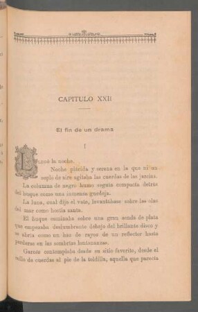 Capítulo XXII - El fin de un drama