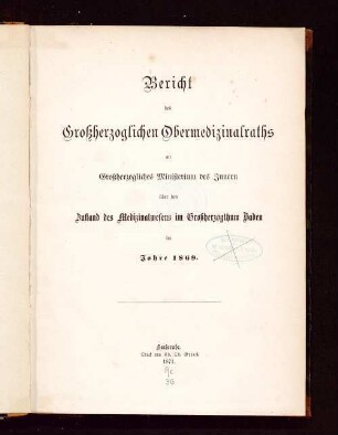 Bericht des Großherzoglichen Obermedizinalraths an Großherzogliches Ministerium des Innern über den Zustand des Medizinalwesens im Großherzogthum Baden im Jahre 1869