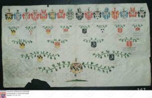 Ahnenprobe des Lothar Friedrich (Bruder des Franz Theodor) Mohr v. Wald. - ausgefertigt 1733 Pergament