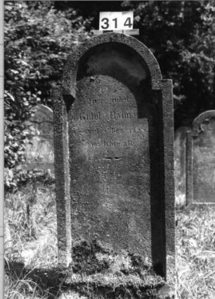 Grabstein 314 (Index: 100085228) Maße HxBxT: 143x56x12 cm Beschreibung: Stele, eingezogener Rundbogenabschluß, Schriftfeld eingetieft: Grabstein 314