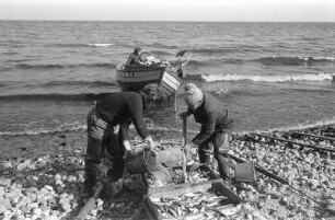 Spot : In Spot, Halbinsel Hel