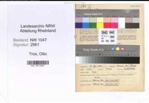 Entnazifizierung Otto Trox , geb. 31.01.1894 (Arbeiter)