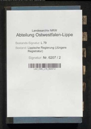 Vorstellungslisten des Aushebungsbezirks Detmold, Band 3