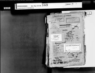 Beklagter: Schauff, Martin; Beklagter: Hoppmann, Karl; Beklagter: Rosenzweig, Robert; Zeuge: Wolfgarten, Barbara, geb. Schauff; Zeuge: Mey, Gertrud; Zeuge: Fischer, August; Zeuge: Arnold, Anneliese; Zeuge: Abel, Hermann; Zeuge: Michels, Gertrud, geb. Röder; Zeuge: Frimenich, Heinrich: Diebstahl
