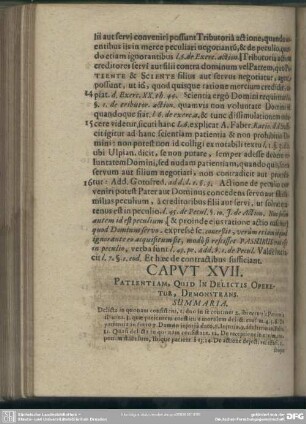 Caput XVII. Patientiam, Quid In Delictis Operetur, Demonstrans