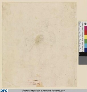 Fragment einer Frauenstudie
