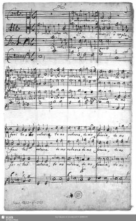 O vulneratum cor amoris o cor plagatum salvatoris - Mus.1733-E-503 : V (3), bc