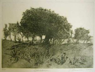 Olivenbaum