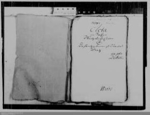 Erben Weitzel (Wetzel ?) ./. Prinzessinnen von Nassau-Diez: Schuldenforderungen
