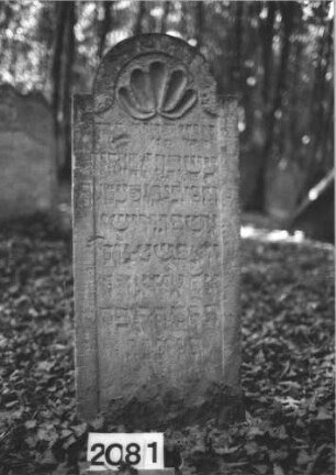 Grabstein 2081