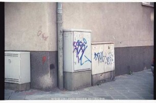 SPel | oRAL