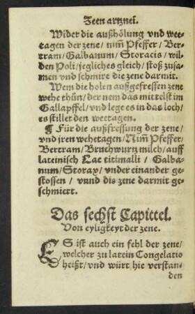 Das sechst Capittel.Von eyligkeyt der zene.