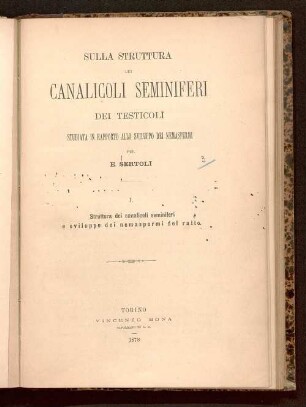 1: Struttura dei canalicoli seminiferi e sviluppo dei nemaspermi del ratto