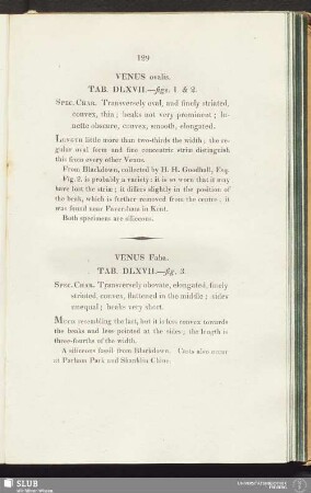 Venus ovalis. Tab. DLXVII.—figs. 1. & 2