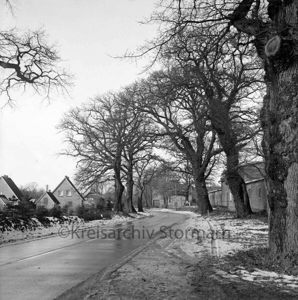 Rosenstraße: Eichenallee: hinten links Einfamilienhäuser: rechts Gebäude des ehemaligen Gutes: Winter