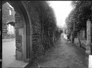 Klosterruine Limburg Innenbereich