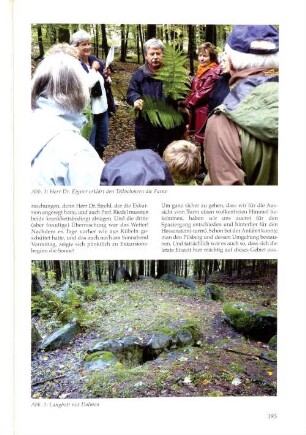 Abb. 2: Langbett mit Dolmen