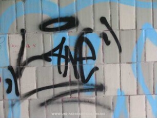 "LANe"