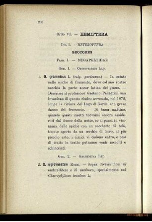 Ordo VI. - Hemiptera