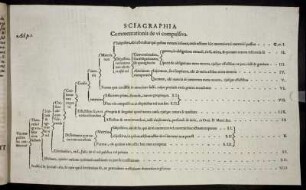 Sciagraphia Commentationis de vi compulsiva.