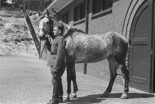 Zweiter Weltkrieg. Niederlande unter deutscher Besatzung. Wehrmachtsangehöriger, ein Pferd am Zügel aus dem Stall führend (wohl bei Den Haag)