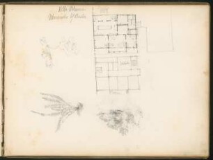 Villa Blume: Grundriss, Details (aus: Skizzenbuch Walter Hentschel)