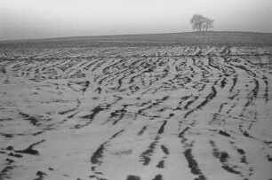 Feld bei Freiberg