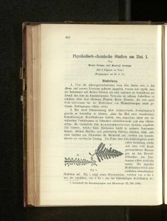 Physikalisch-chemische Studien am Blei. I.
