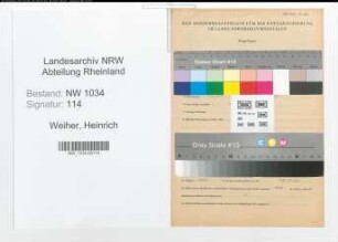 Entnazifizierung Heinrich Weiher , geb. 06.11.1913 (Hauptfeldwebel)