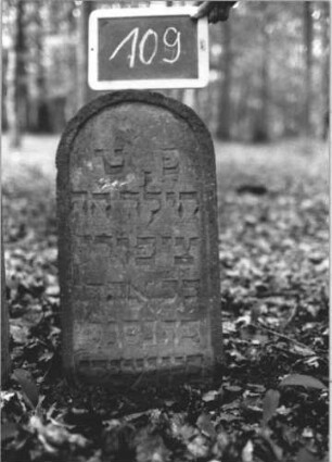 Grabstein 109 (Index: 99894947) Material: Sandstein Zustand: gut, eingesunken Maße HxBxT: 66x34x8 cm Beschreibung: Stele mit Rundbogenabschluss: Grabstein 109