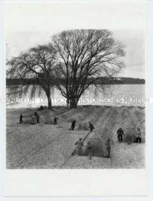 Sieben und Reinigen des Sandes im Strandbad Wannsee