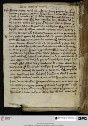 Wipo Presbyter, Proverbia