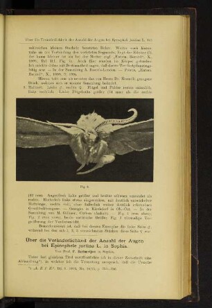 Über die Veränderlichkeit der Anzahl der Augen bei Epinephele jurtina L. in Sophia.