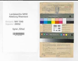 Entnazifizierung Alfred Ilgner , geb. 19.01.1908 (Kohlenhaendler)